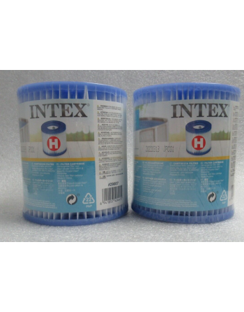 INTEX 29007 LOT 2...
