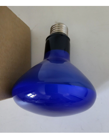 IWASAKI Ampoule bleue culot...