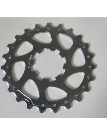 CAMPAGNOLO Pignon 23-C 23...