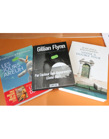 Lot de 3 romans : G. Flynn...